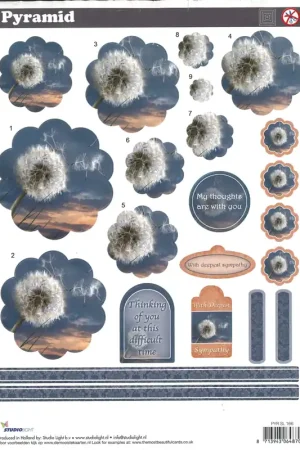 3D knipvel – Studio Light – PYR SL 166 Rechtstreeks Van De Fabrikant