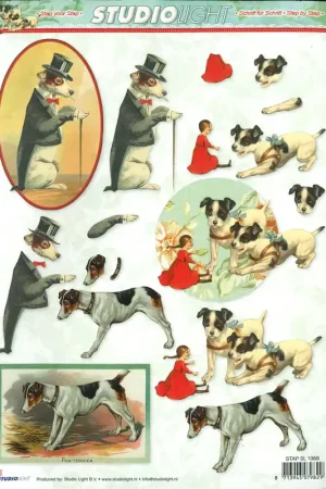 Weekendaanbieding 3D knipvel – Studio Light – STAP SL 1068