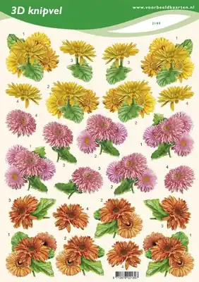 Voordeelprijs 3D knipvel – Voorbeeldkaarten -2189 Bloemen