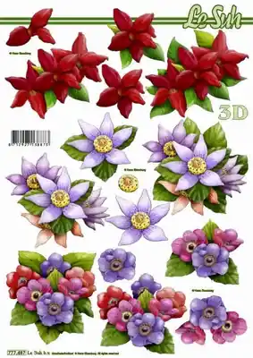 Uitverkoop 3D Knipvel 777487